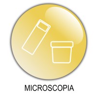 Microscopia