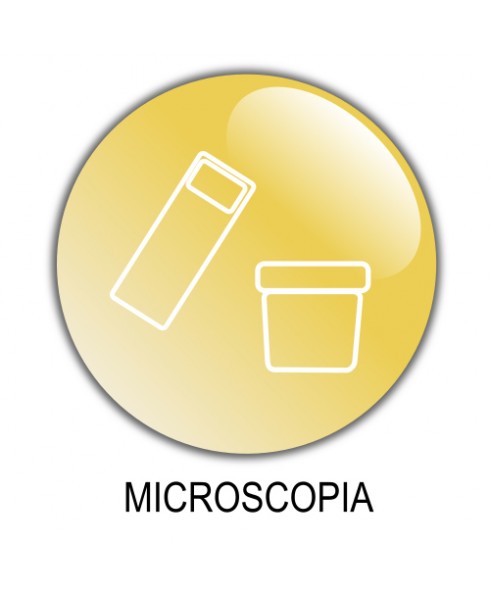 Microscopia