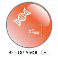 15 Biologia Molecolare/Cellulare